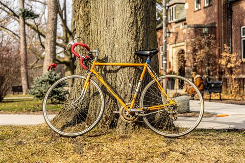 foto fiets tegen boom